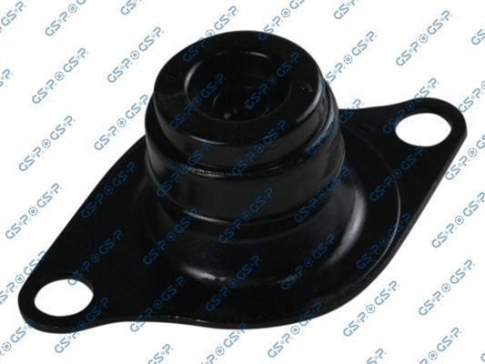 Variklio montavimas GSP 531065
