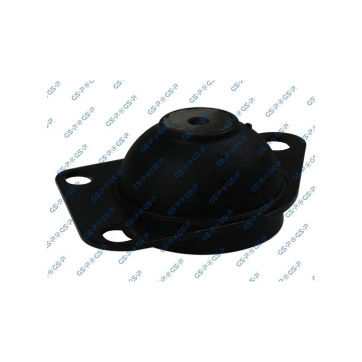 Variklio montavimas GSP 531066