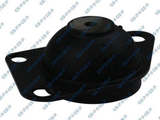 Variklio montavimas GSP 531066