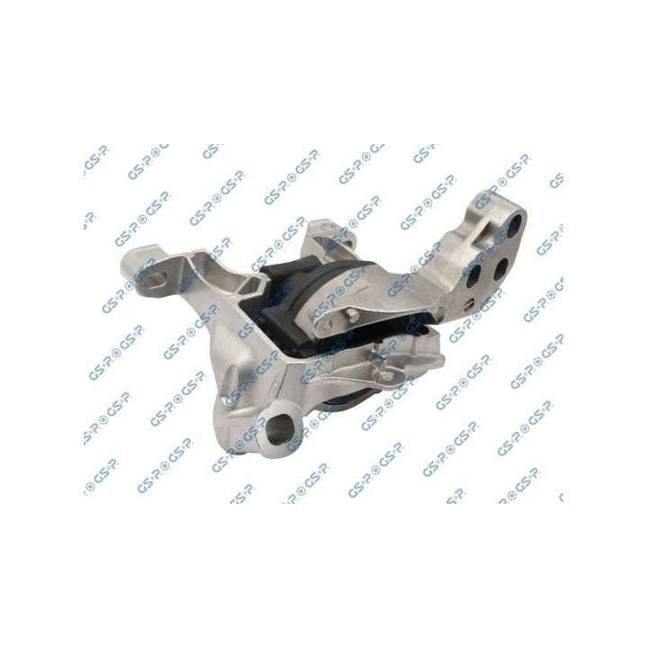 Variklio montavimas GSP 531195