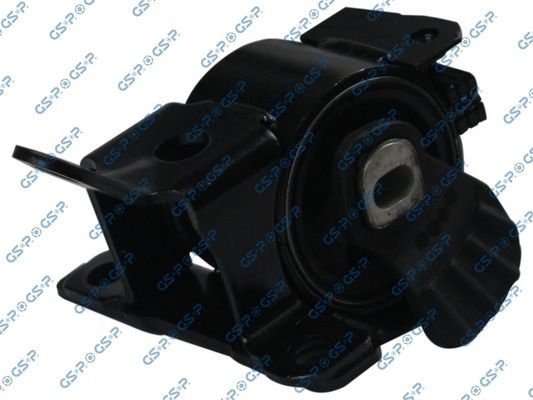 Variklio montavimas GSP 531196