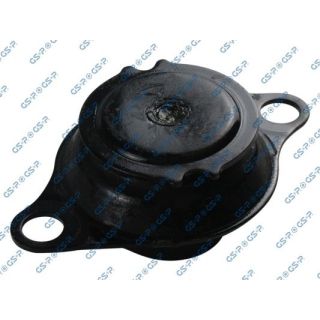 Variklio montavimas GSP 531483