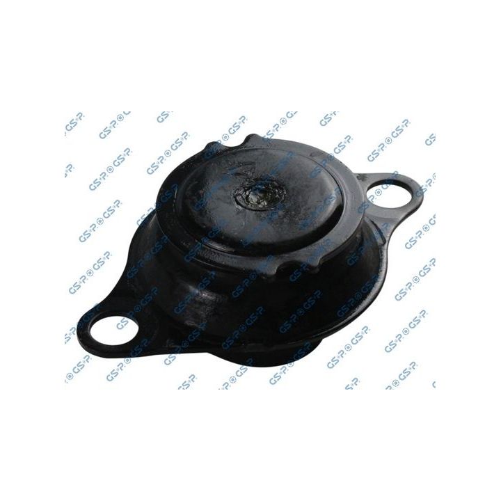 Variklio montavimas GSP 531483