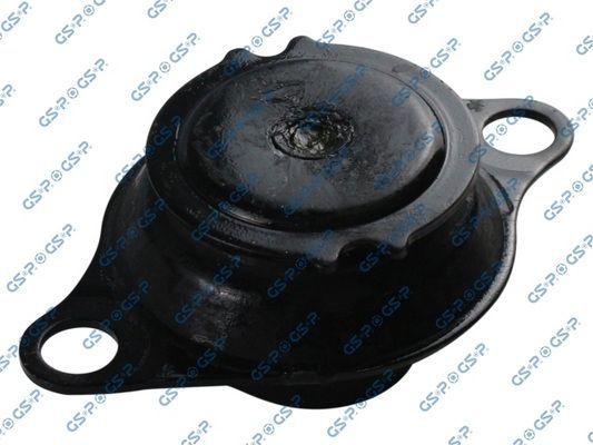 Variklio montavimas GSP 531483