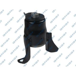 Variklio montavimas GSP 531559