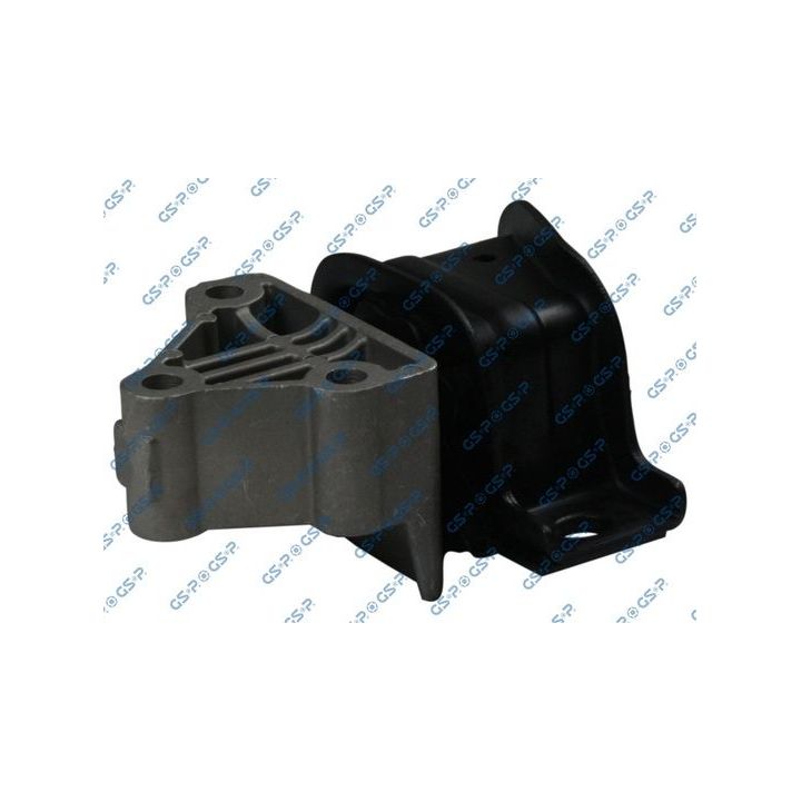 Variklio montavimas GSP 531690