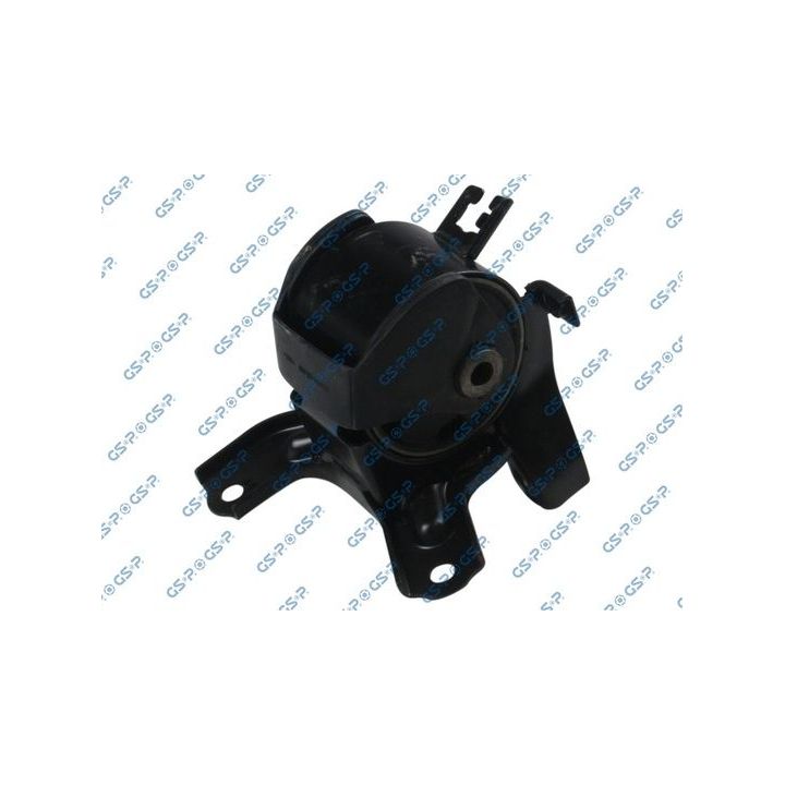 Variklio montavimas GSP 531753