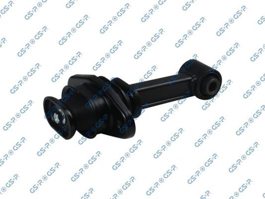 Variklio montavimas GSP 531881