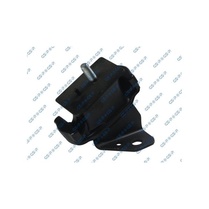 Variklio montavimas GSP 531898