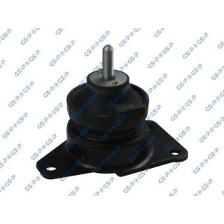 Variklio montavimas GSP 531899