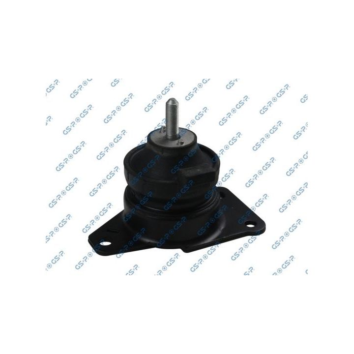 Variklio montavimas GSP 531899