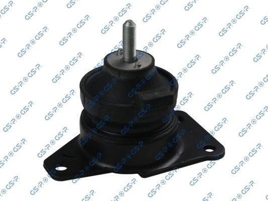 Variklio montavimas GSP 531899