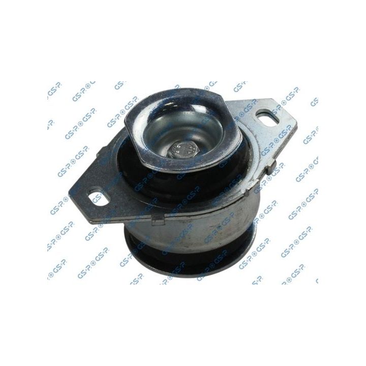 Variklio montavimas GSP 531990