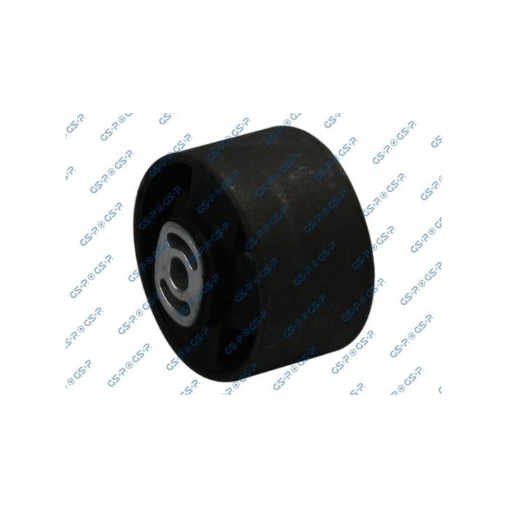 Variklio montavimas GSP 532155