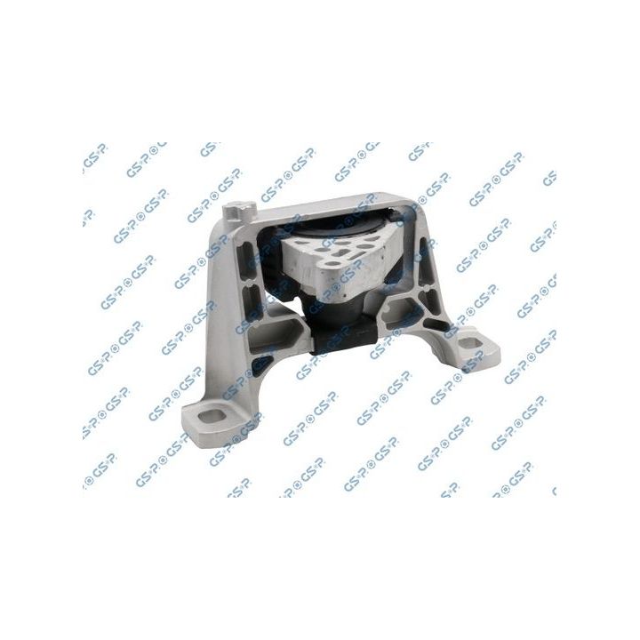 Variklio montavimas GSP 532157