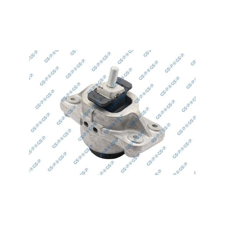 Variklio montavimas GSP 532464