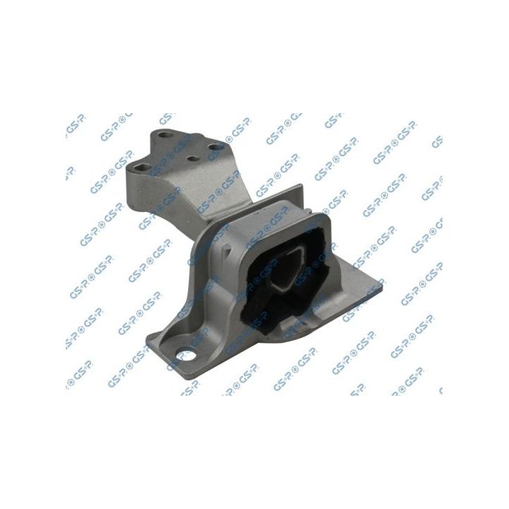 Variklio montavimas GSP 532585