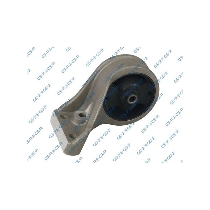Variklio montavimas GSP 532654