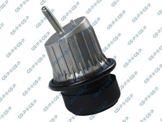 Variklio montavimas GSP 532723