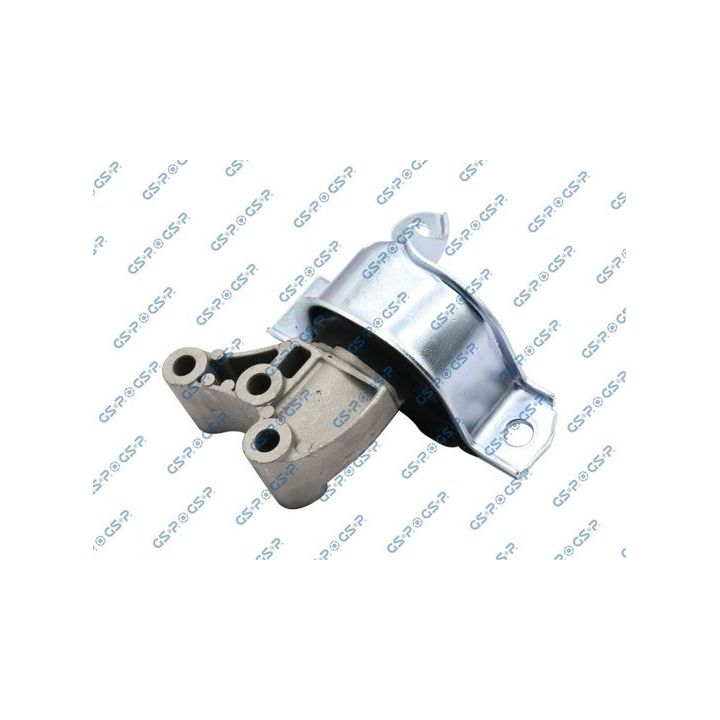 Variklio montavimas GSP 532813