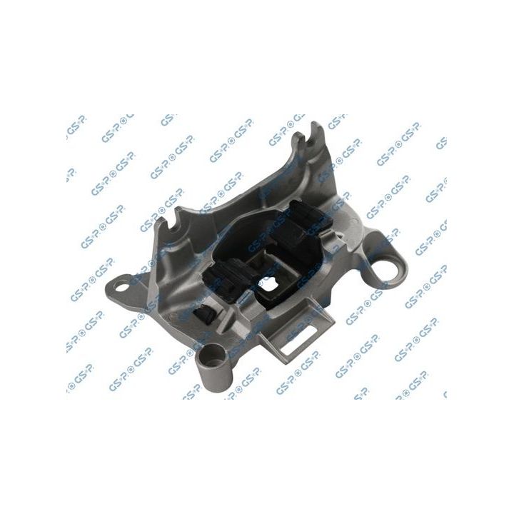 Variklio montavimas GSP 532886