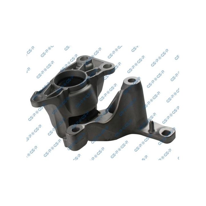 Variklio montavimas GSP 532887