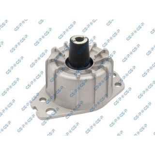 Variklio montavimas GSP 532898