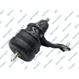 Variklio montavimas GSP 533101