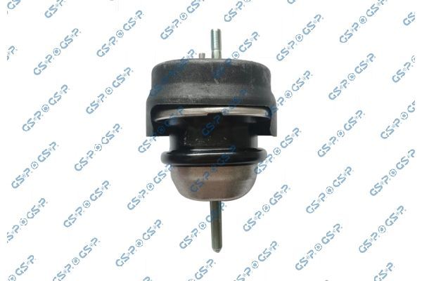 Variklio montavimas GSP 533109