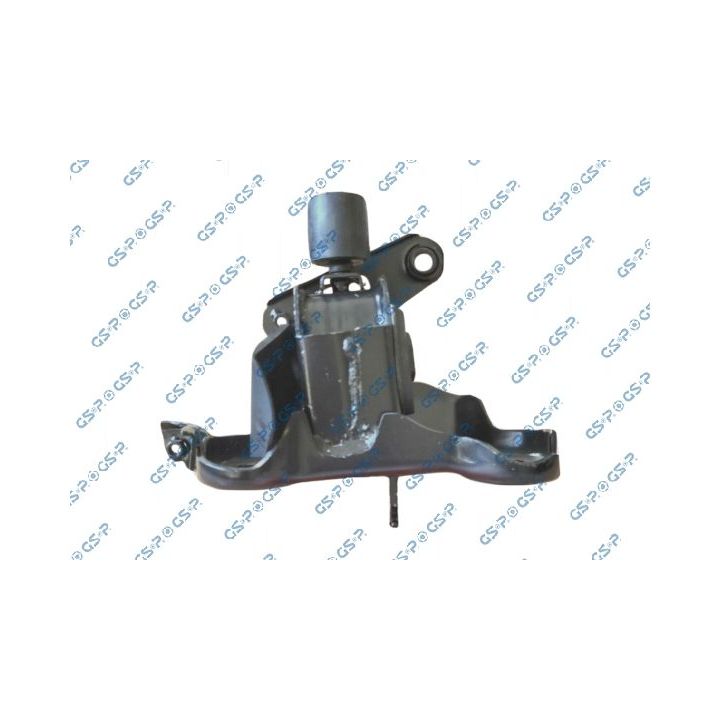 Variklio montavimas GSP 533144