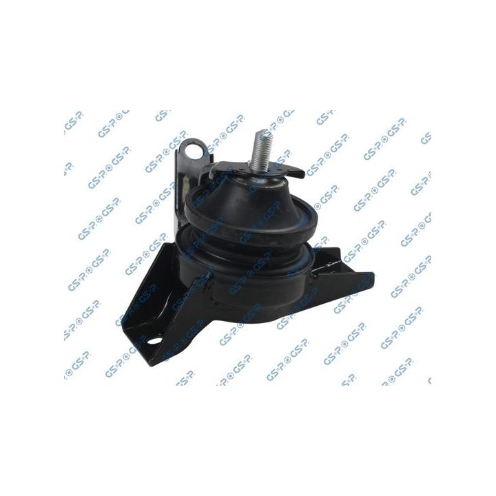 Variklio montavimas GSP 533252