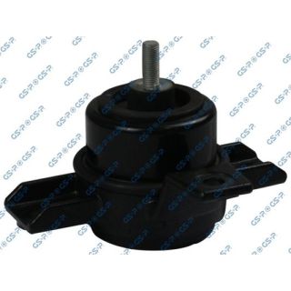 Variklio montavimas GSP 533253