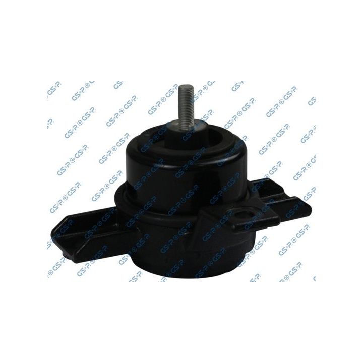 Variklio montavimas GSP 533253