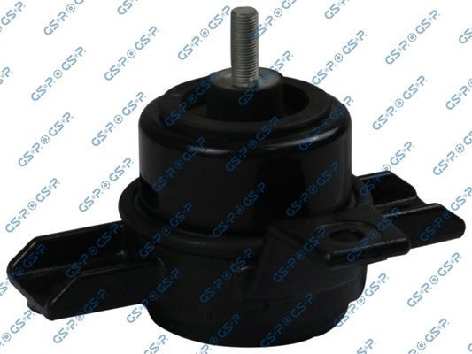 Variklio montavimas GSP 533253