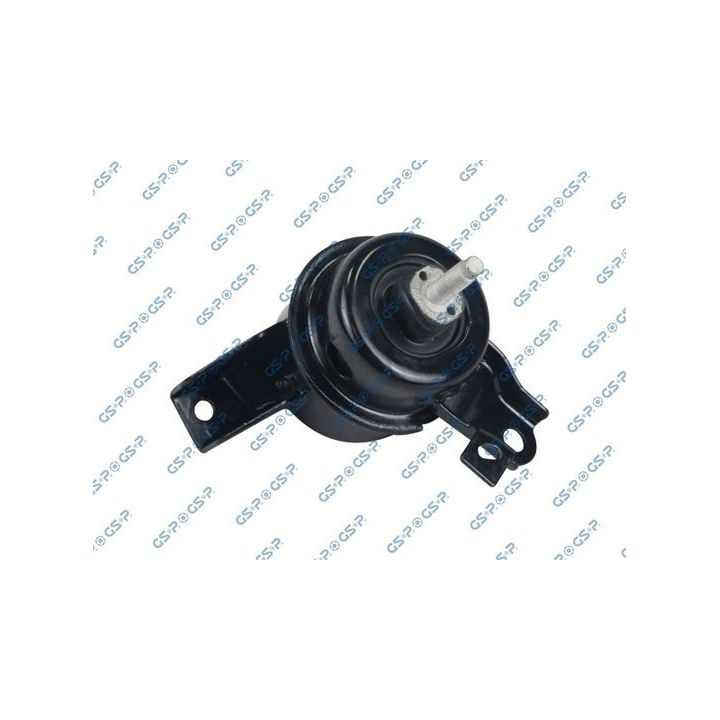 Variklio montavimas GSP 533271