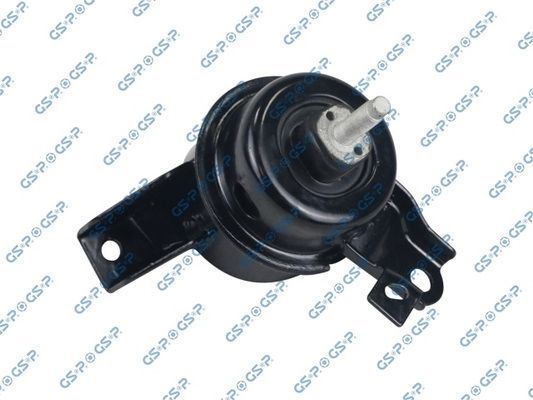 Variklio montavimas GSP 533271