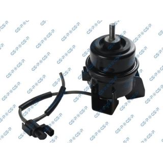 Variklio montavimas GSP 533274