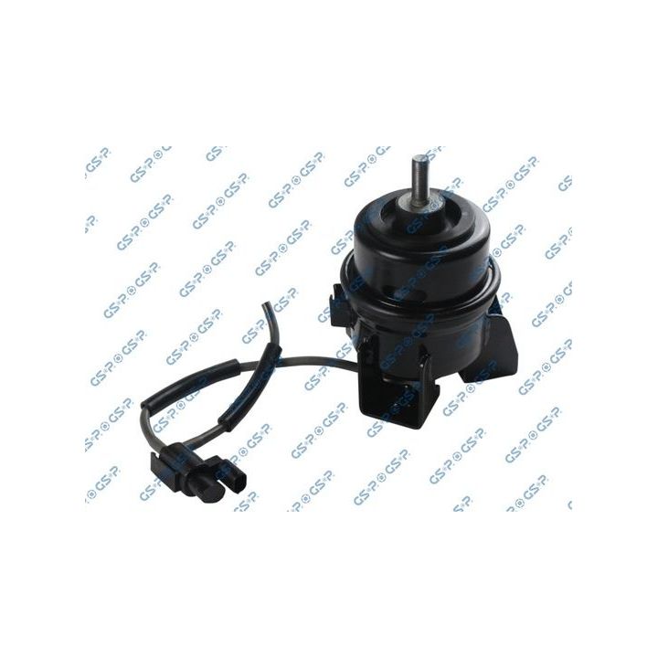 Variklio montavimas GSP 533274