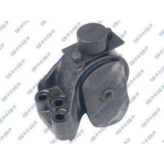 Variklio montavimas GSP 533278