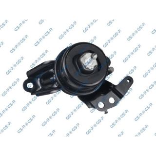 Variklio montavimas GSP 533281