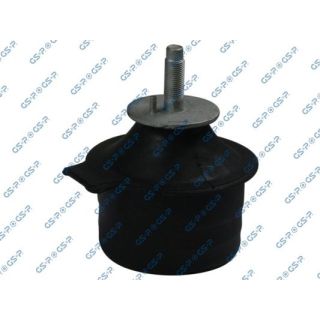 Variklio montavimas GSP 533326