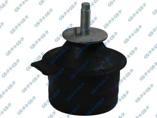 Variklio montavimas GSP 533326