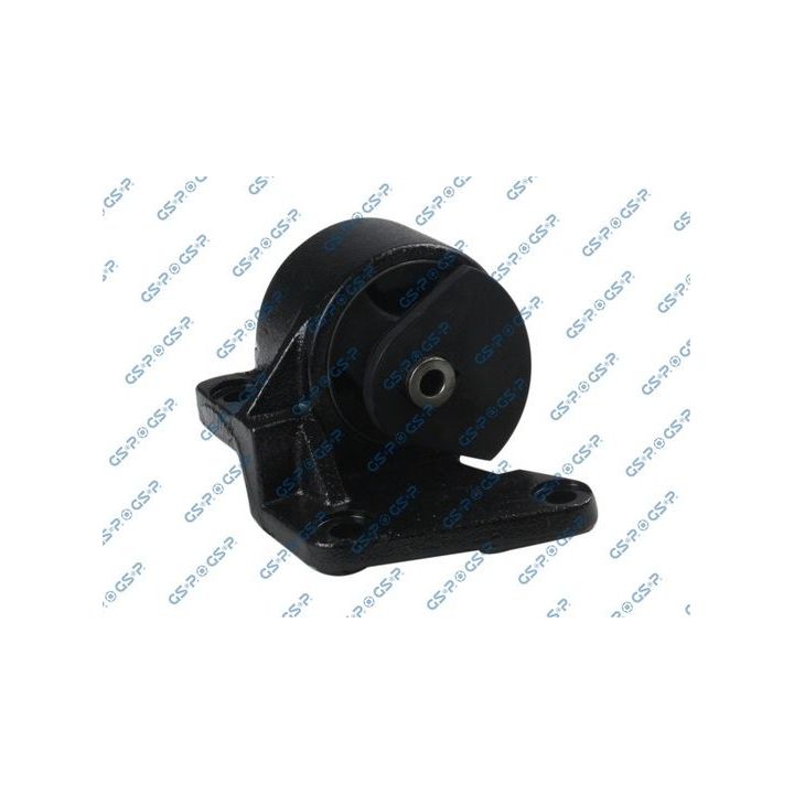 Variklio montavimas GSP 533328