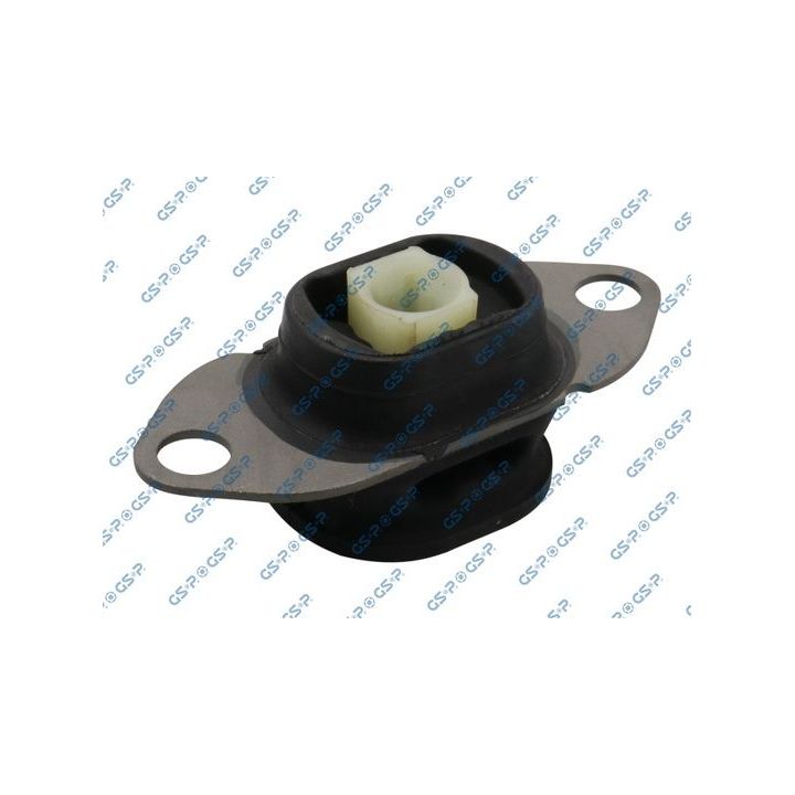 Variklio montavimas GSP 533733