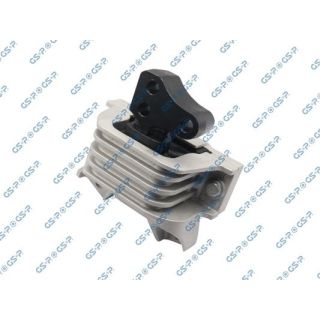 Variklio montavimas GSP 533891