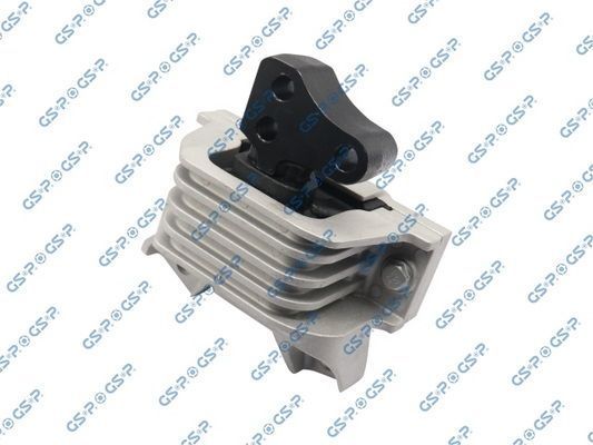 Variklio montavimas GSP 533891