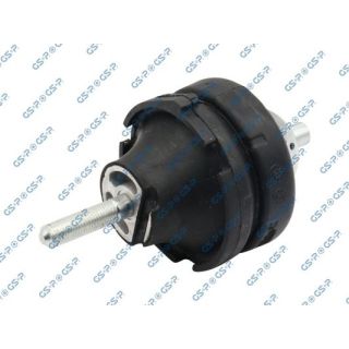 Variklio montavimas GSP 533953