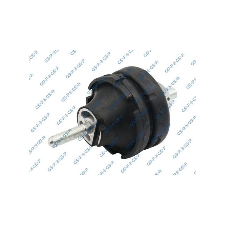Variklio montavimas GSP 533953