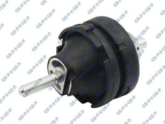Variklio montavimas GSP 533953
