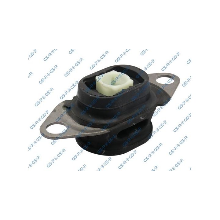 Variklio montavimas GSP 537634